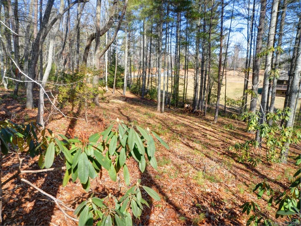 Lot 35 Jake Ridge Trail Fletcher, NC 28732 - Photo 6 of 24 a pathway of a yard