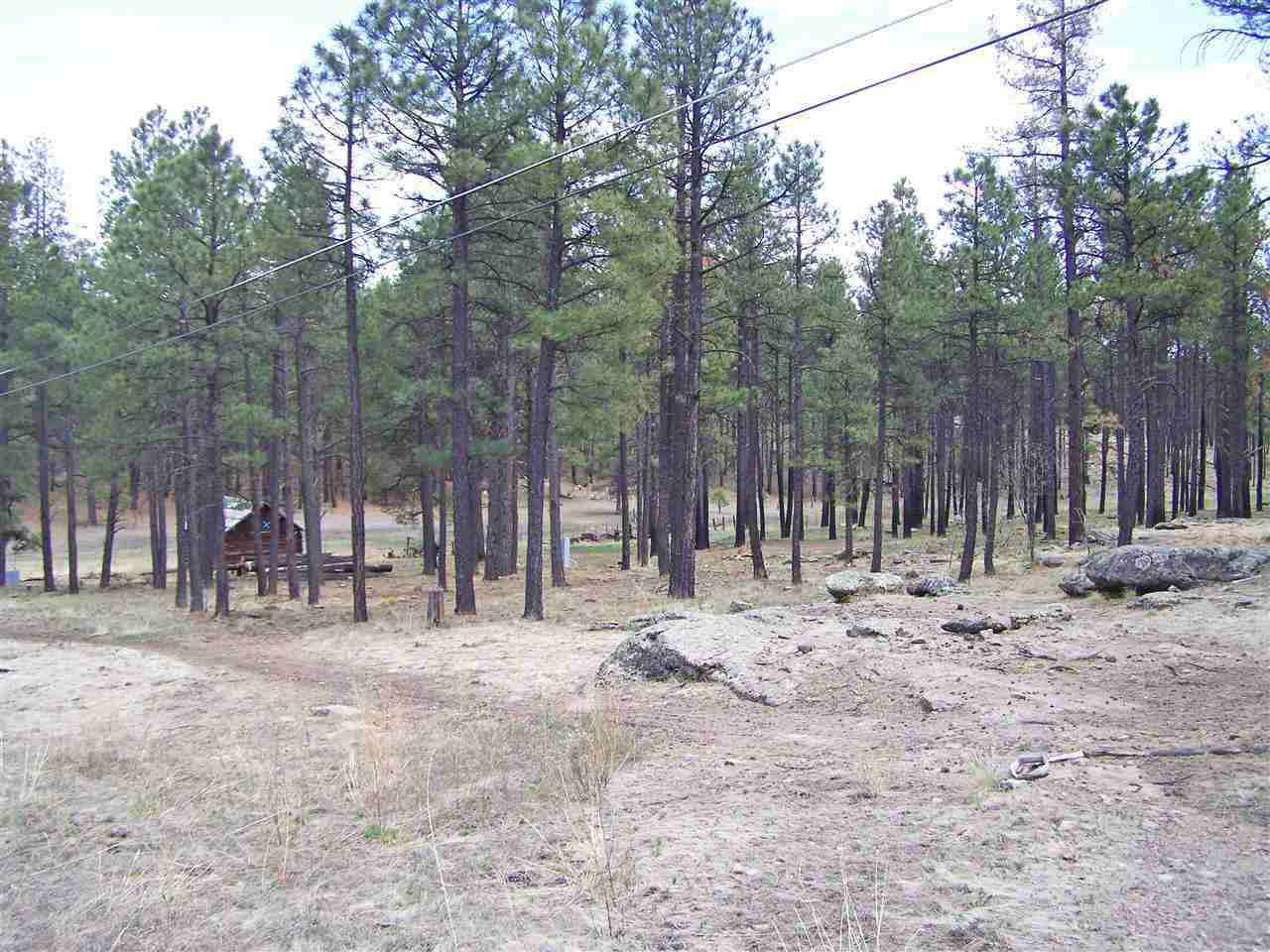 0 On County Road Alpine, AZ 85920 - Photo 2 of 8