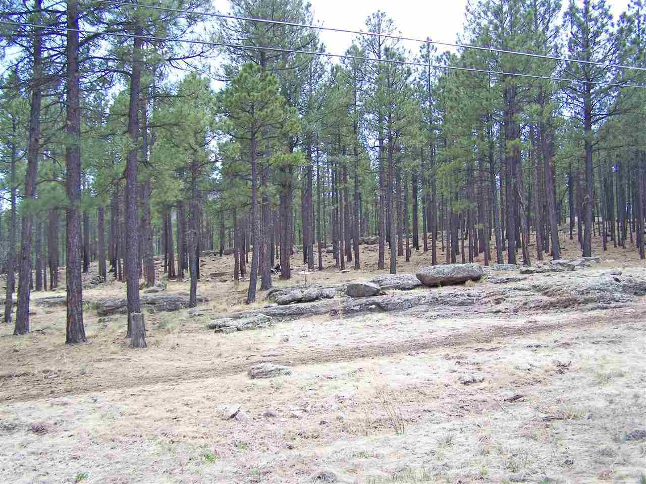 0 On County Road Alpine, AZ 85920 - Photo 3 of 8