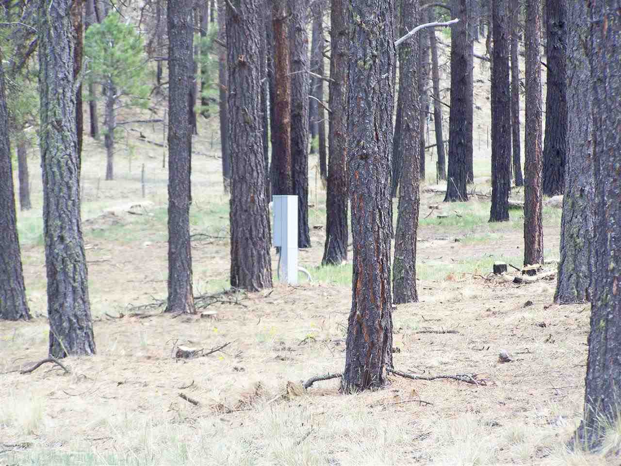 0 On County Road Alpine, AZ 85920 - Photo 4 of 8
