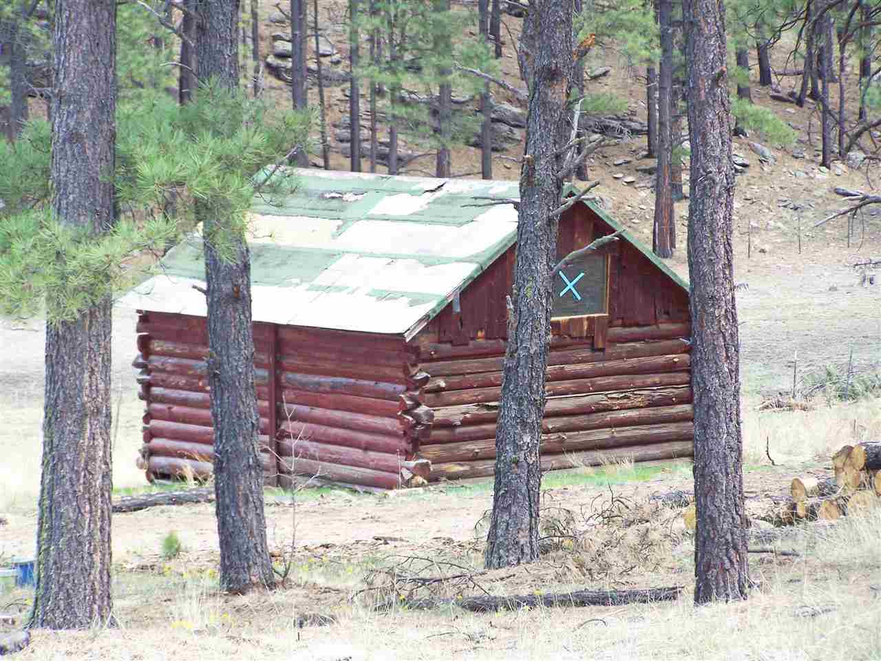0 On County Road Alpine, AZ 85920 - Photo 5 of 8