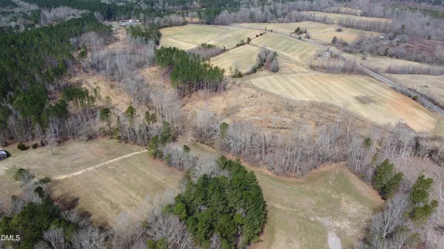 a view of a yard with plants