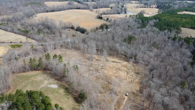 a view of a dry yard with trees