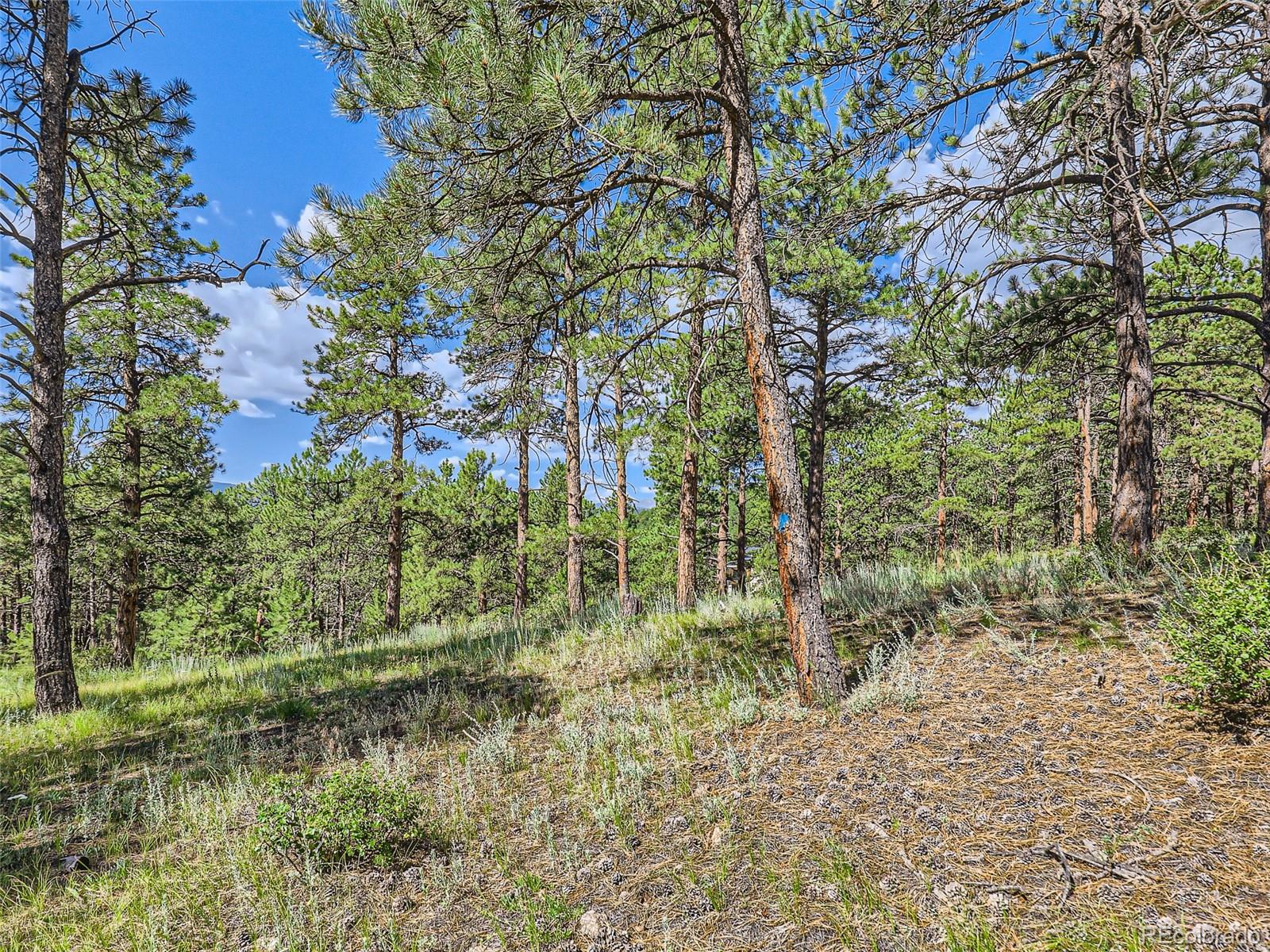 2117 Wieler Road Evergreen, CO 80439 - Photo 26 of 40 Gallery Image 26