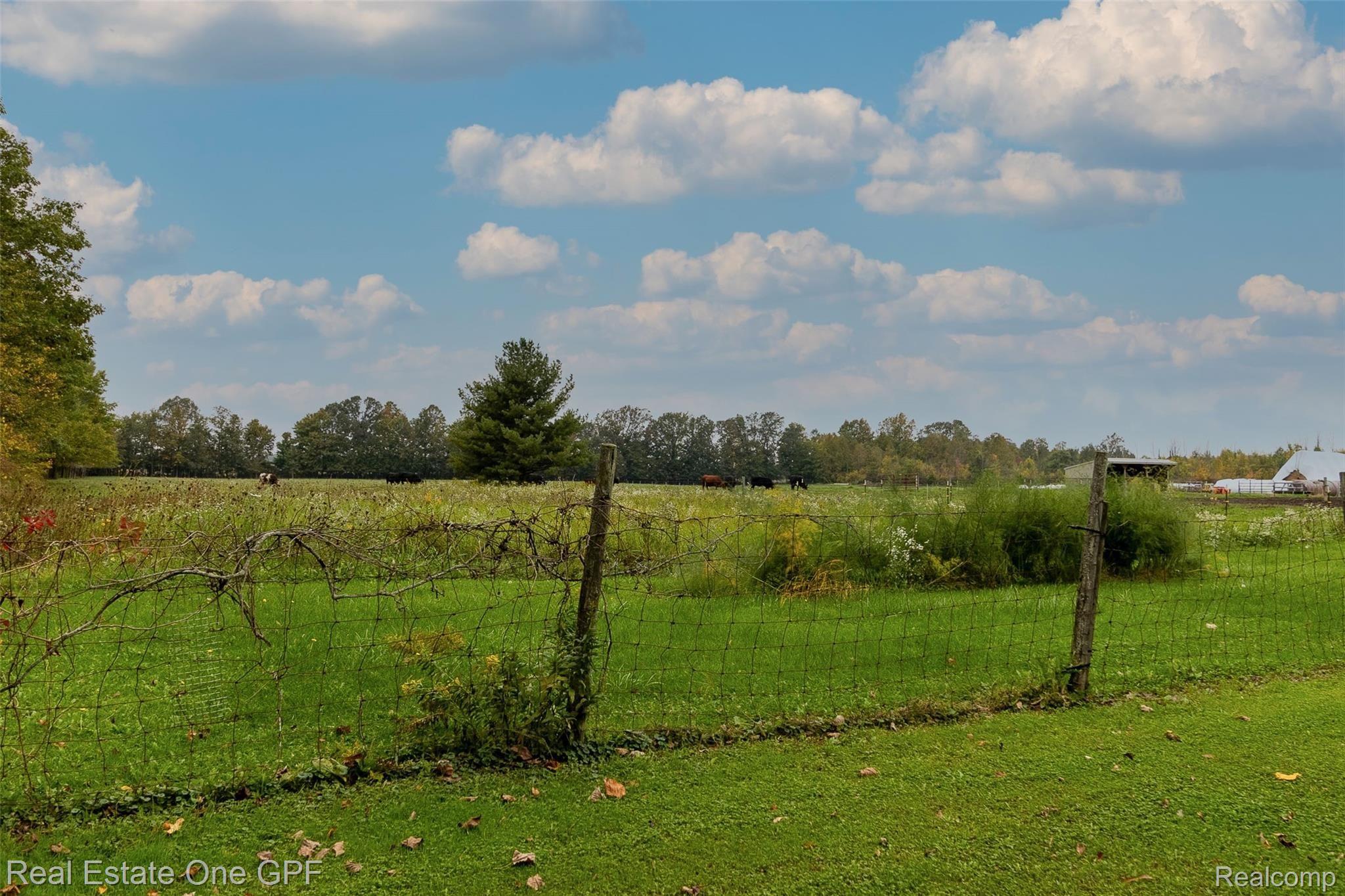 6765 North Road Fort Gratiot, MI 48059 - Photo 60 of 74 081.jpg