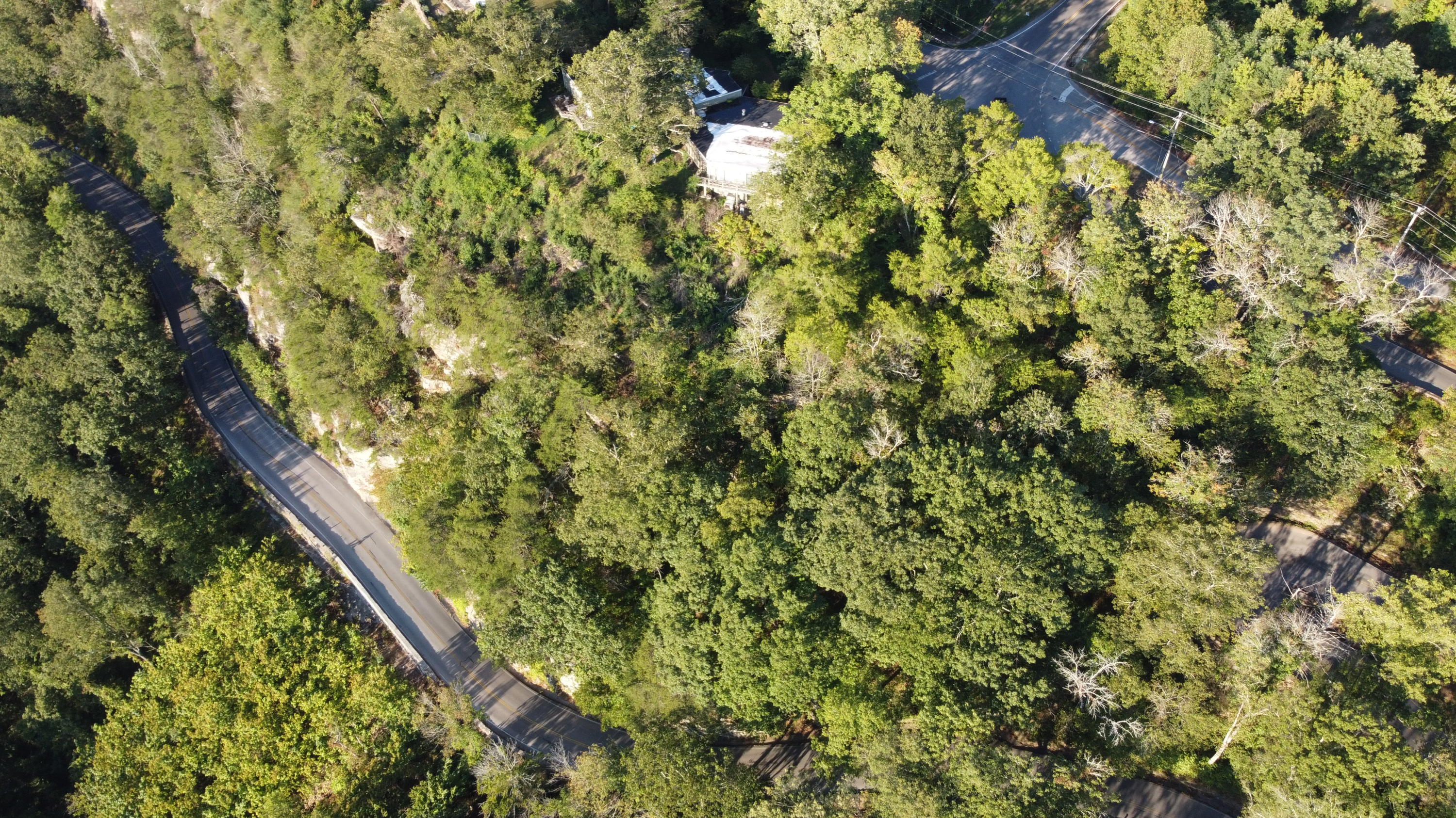1530 East Brow Road Signal Mountain, TN 37377 - Photo 47 of 66 DJI_0120