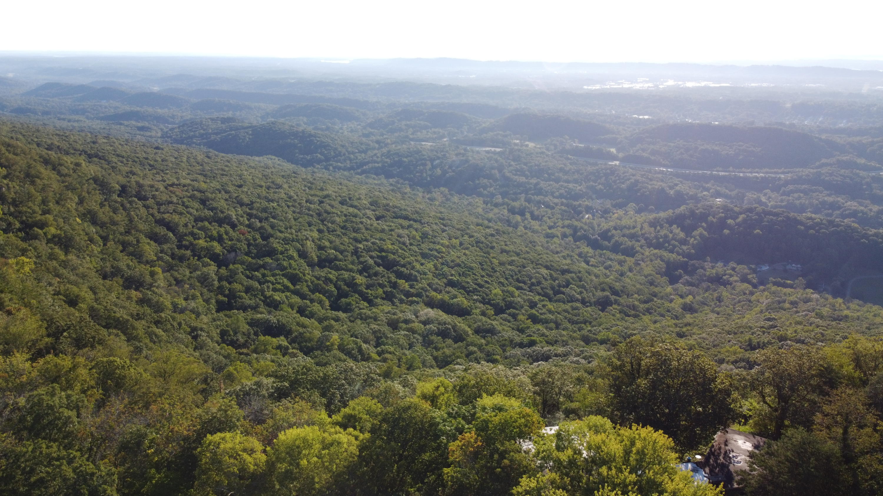 1530 East Brow Road Signal Mountain, TN 37377 - Photo 5 of 66 DJI_0143