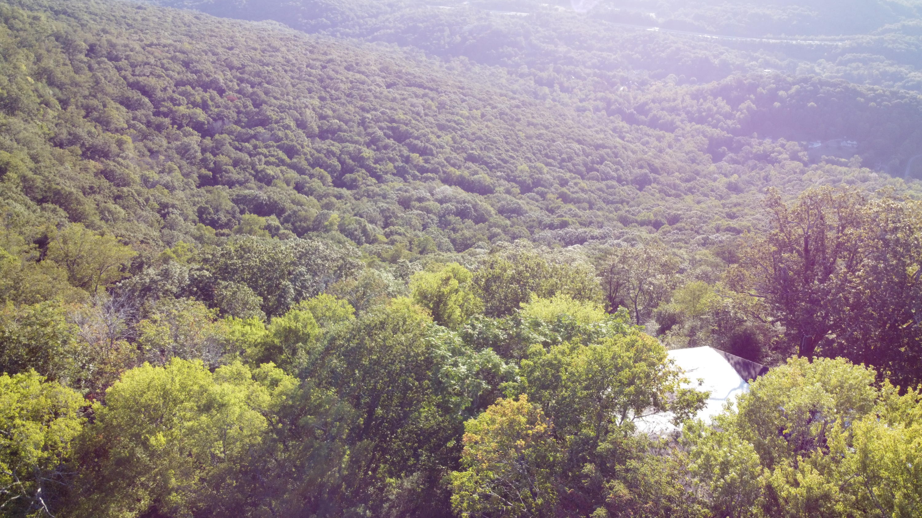 1530 East Brow Road Signal Mountain, TN 37377 - Photo 60 of 66 DJI_0141