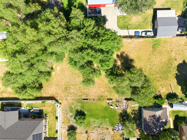 300 East S, Unit 2 Logan, UT 84321 - Photo 22 of 38 Expansive lot featuring mature trees and open land, bordered by established properties