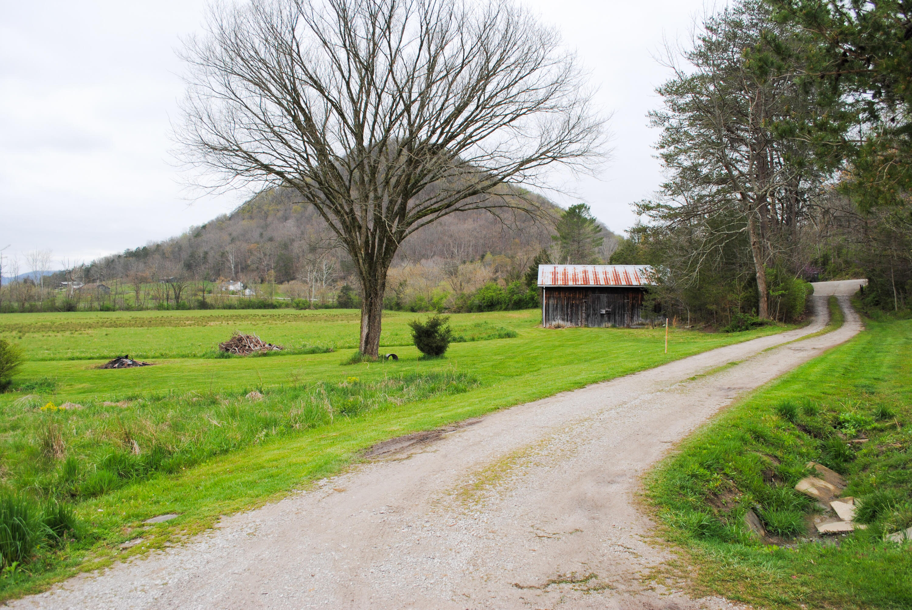 1152 Red Lick Road Berea, KY 40403 - Photo 34 of 71 DSC_0002