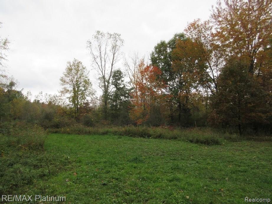 Vl Euler Road Brighton, MI 48114 - Photo 2 of 8