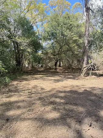 $100,000 | 111 A Roberta Drive, Eutawville, SC 29048