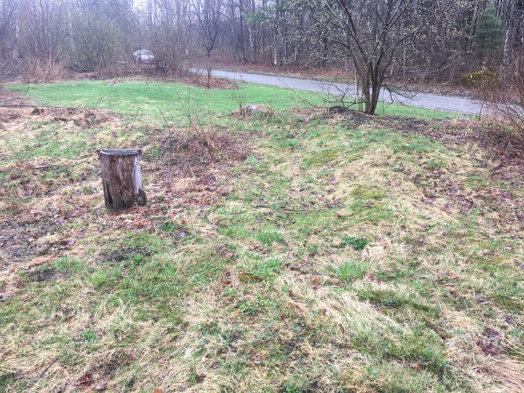 Lot 2 Ranney Corner Road Ashfield, MA 01330 - Photo 8 of 10 Gallery Image 8