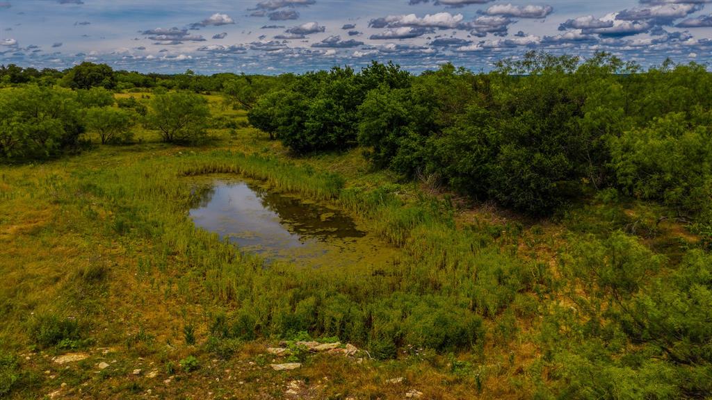 451 Rosser Ranch Road Graham, TX 76450 - Photo 37 of 40 Tank 2