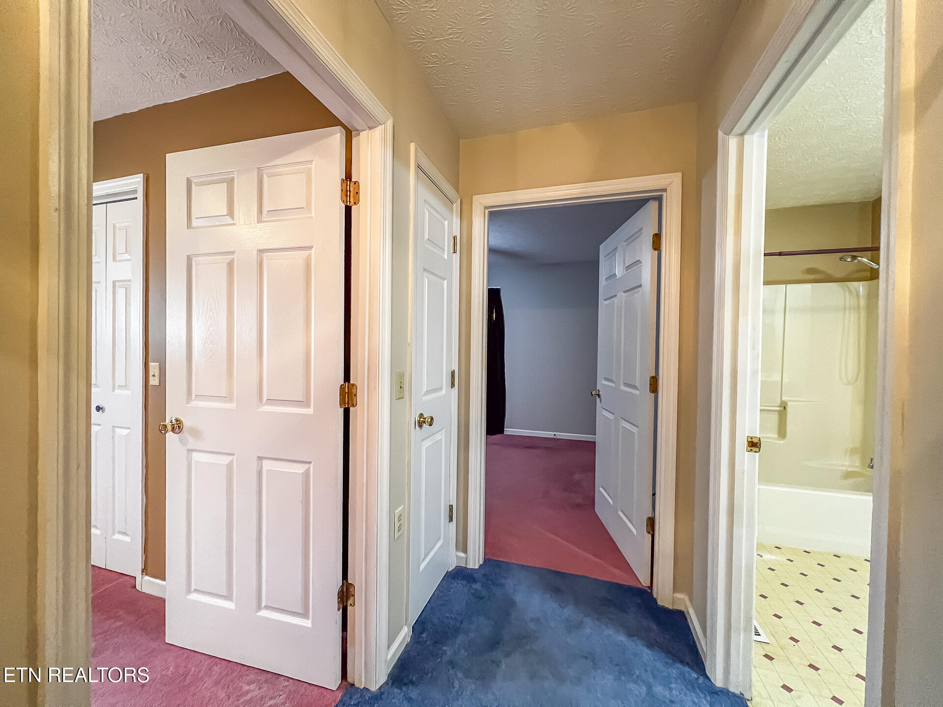 1305 Pin Hook Road Spring City, TN 37381 - Photo 34 of 57 1305 Pin Hook Road -52