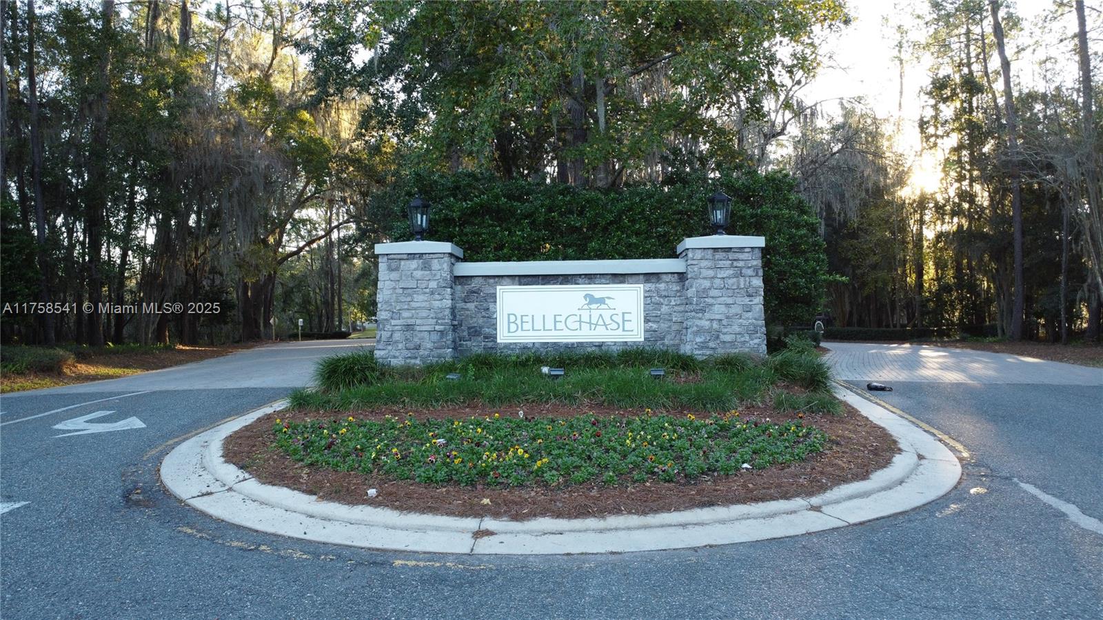 a view of a park that has large trees