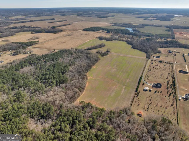 $950,000 | 0 Williams Circle, Elko, GA 31025