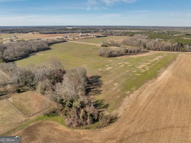 $950,000 | 0 Williams Circle, Elko, GA 31025