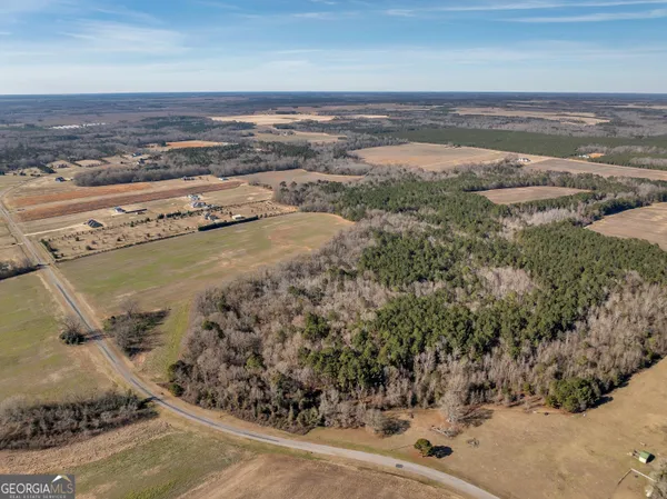 $950,000 | 0 Williams Circle, Elko, GA 31025