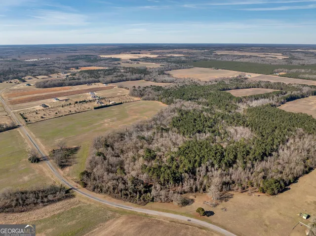 $950,000 | 0 Williams Circle, Elko, GA 31025