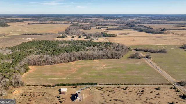 $950,000 | 0 Williams Circle, Elko, GA 31025