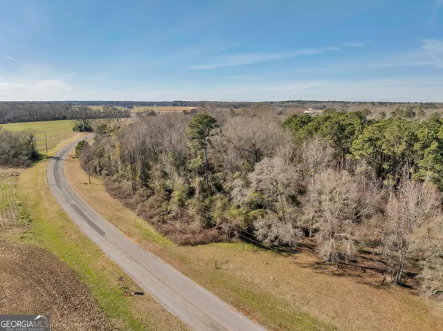 $950,000 | 0 Williams Circle, Elko, GA 31025