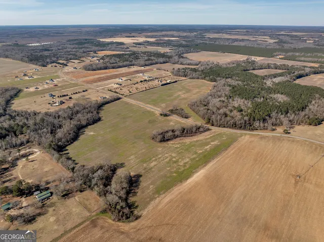 $950,000 | 0 Williams Circle, Elko, GA 31025