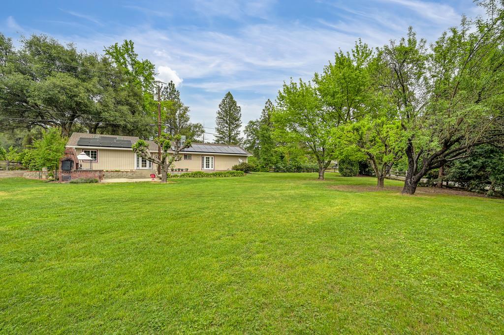 5682 Virginiatown Road Newcastle, CA 95658 - Photo 32 of 56 Stunning back of property totally usable many fruit trees-plum, pomegranates, apple, almond and mandarin.