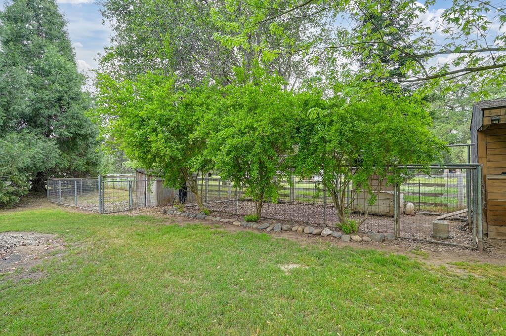 5682 Virginiatown Road Newcastle, CA 95658 - Photo 37 of 56 Chicken coop with nesting boxes and storage for food.
