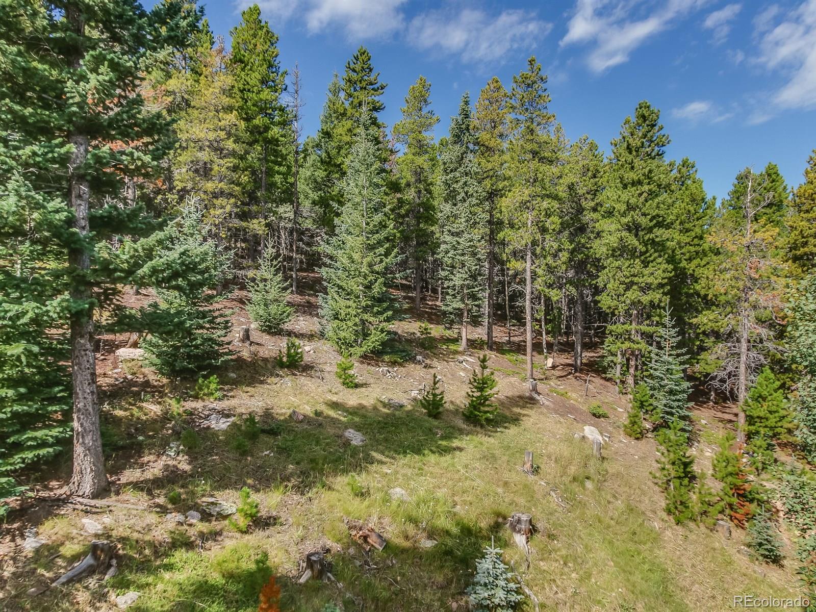 27352 Squaw Pass Road Evergreen, CO 80439 - Photo 32 of 35 Gallery Image 32