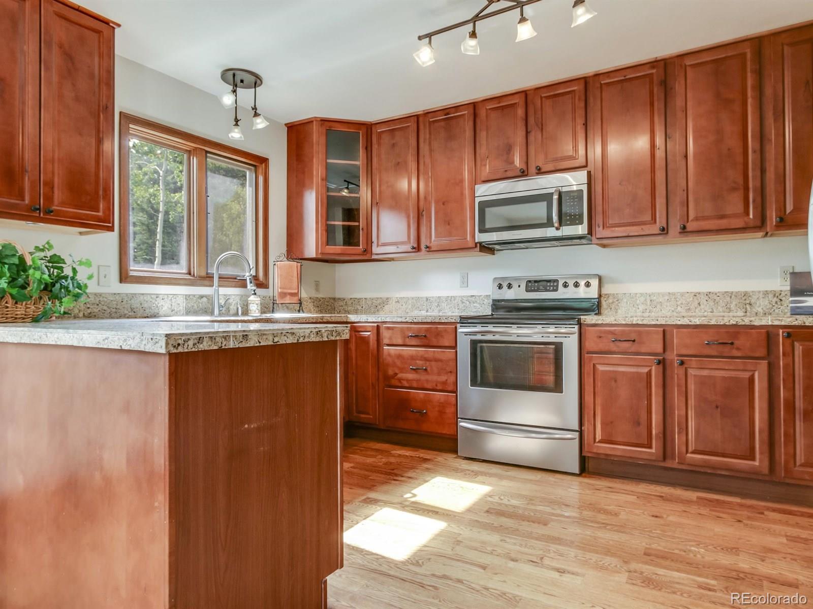 27352 Squaw Pass Road Evergreen, CO 80439 - Photo 4 of 35 Gallery Image 4