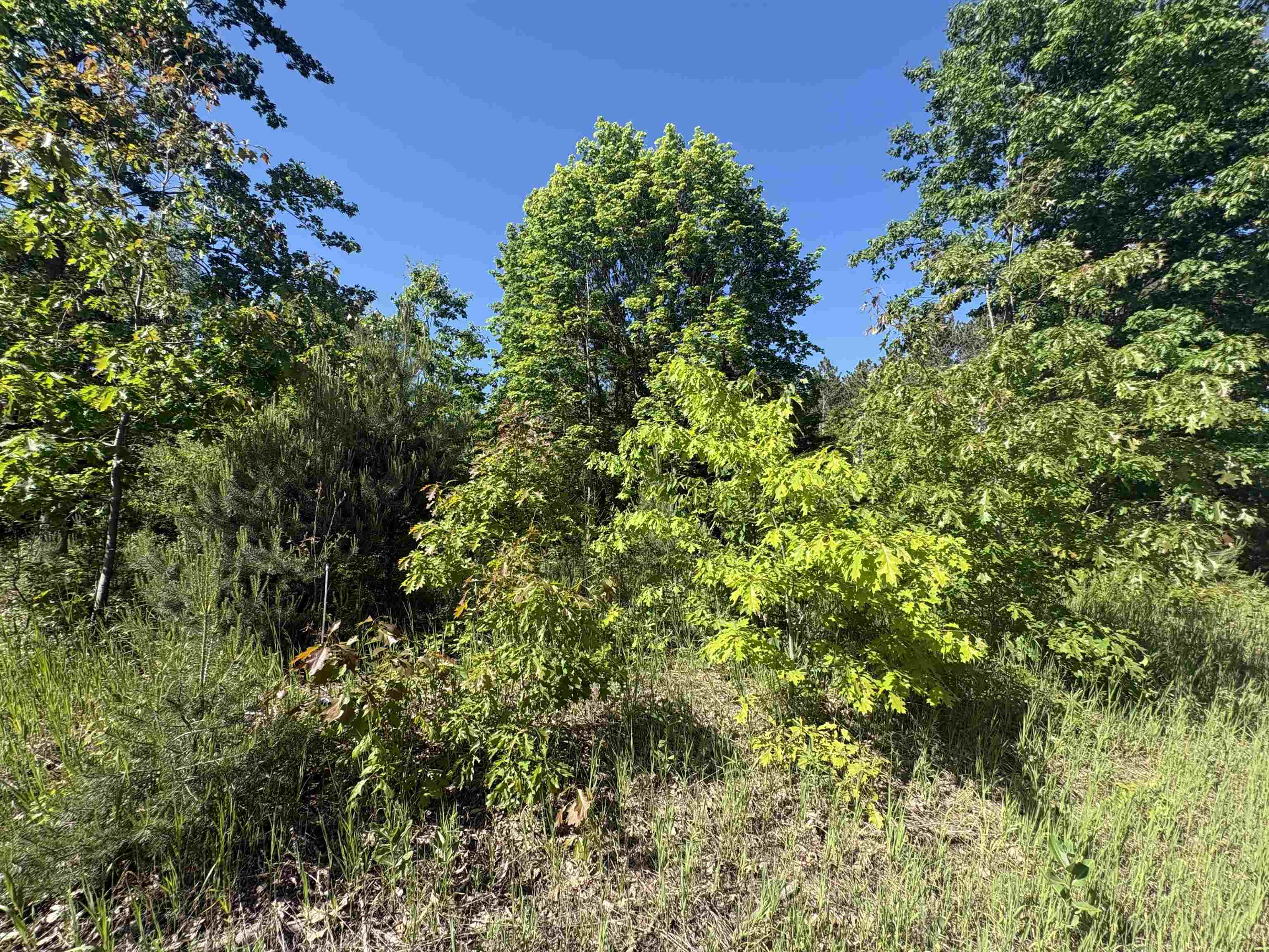 Parcel E St Johns Road Interlochen, MI 49643 - Photo 10 of 11