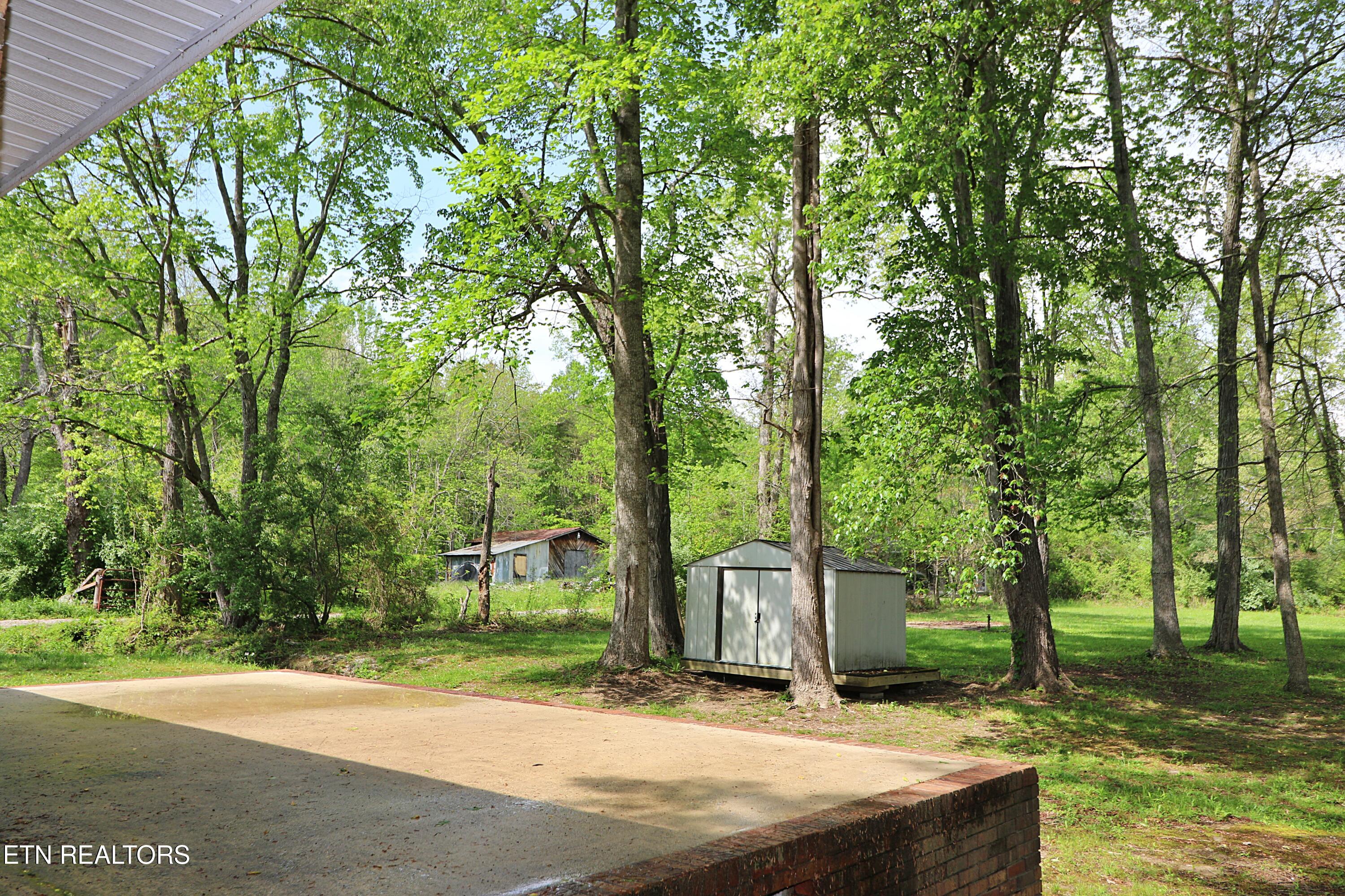 1793 Jeffers Road Huntsville, TN 37756 - Photo 13 of 48 094A0717