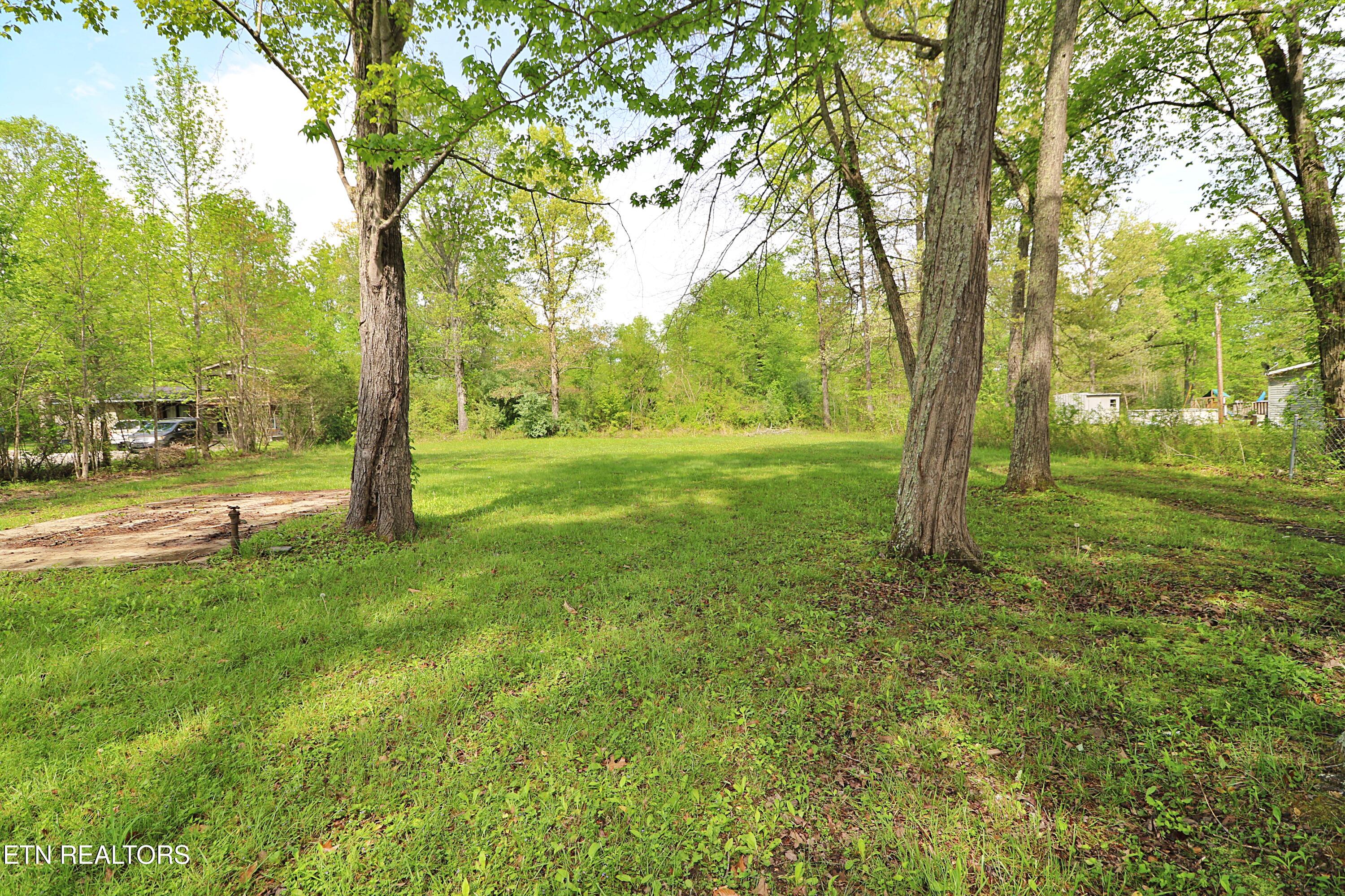 1793 Jeffers Road Huntsville, TN 37756 - Photo 38 of 48 094A0728