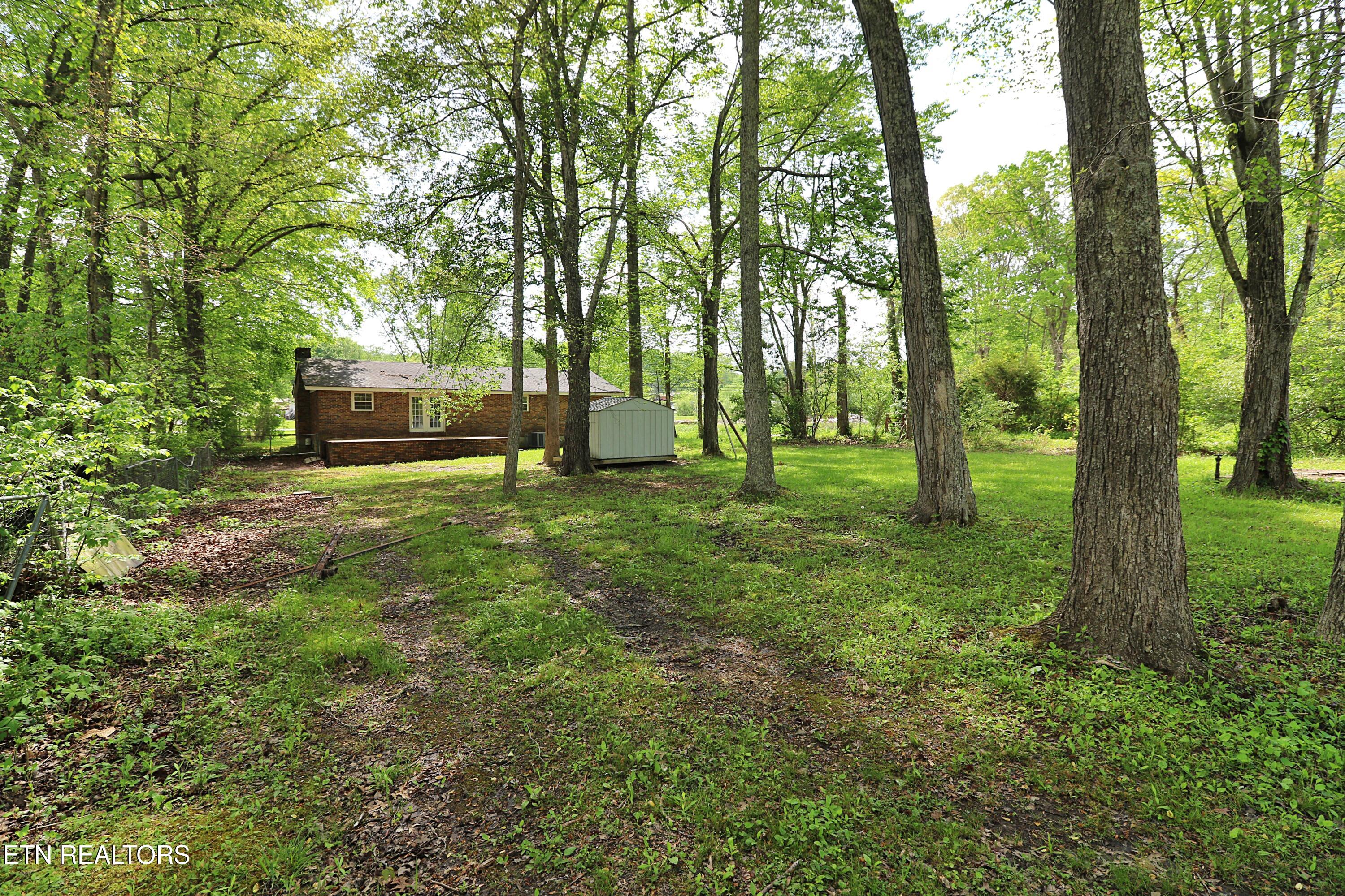 1793 Jeffers Road Huntsville, TN 37756 - Photo 40 of 48 094A0729