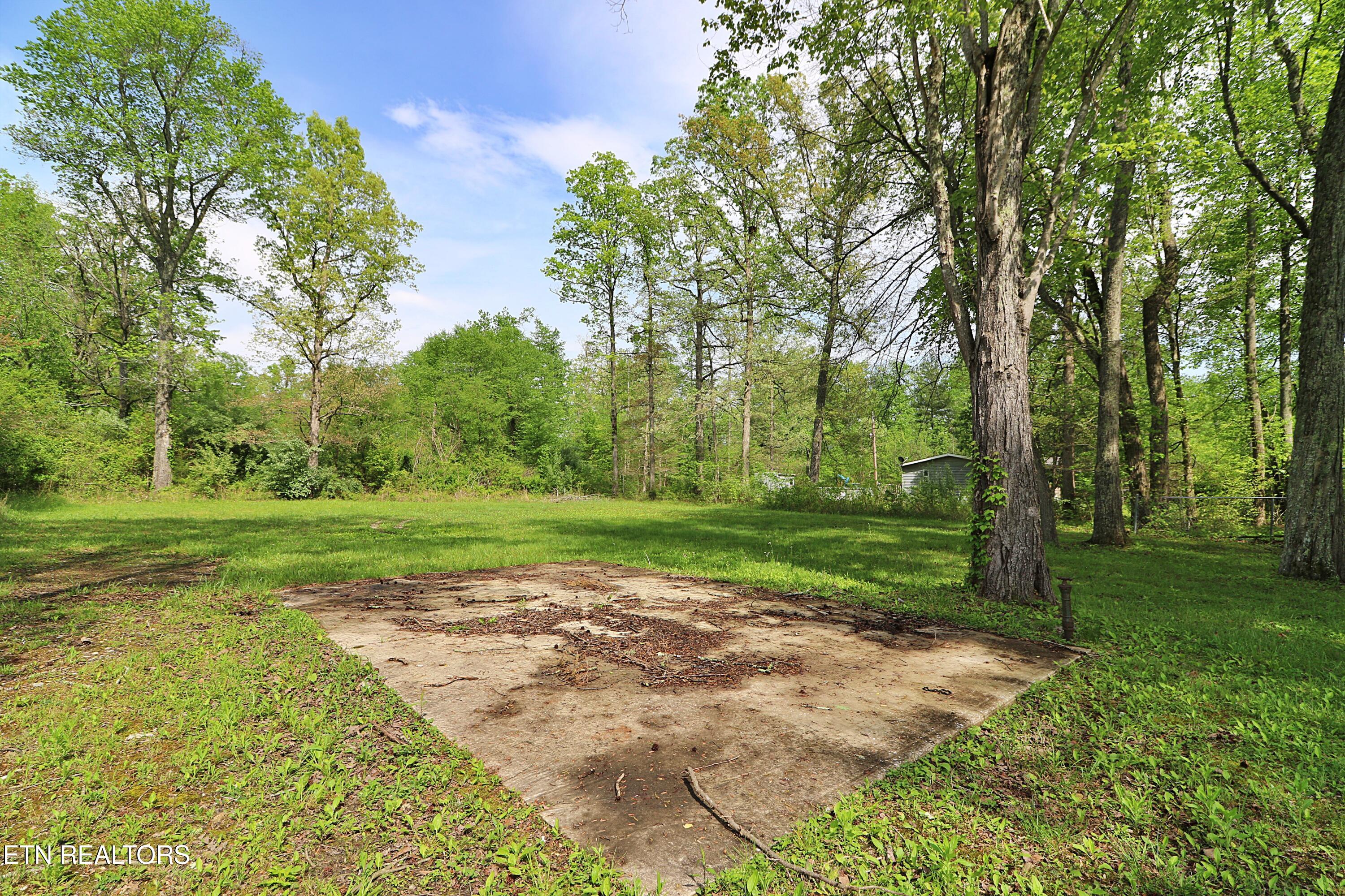 1793 Jeffers Road Huntsville, TN 37756 - Photo 42 of 48 094A0727