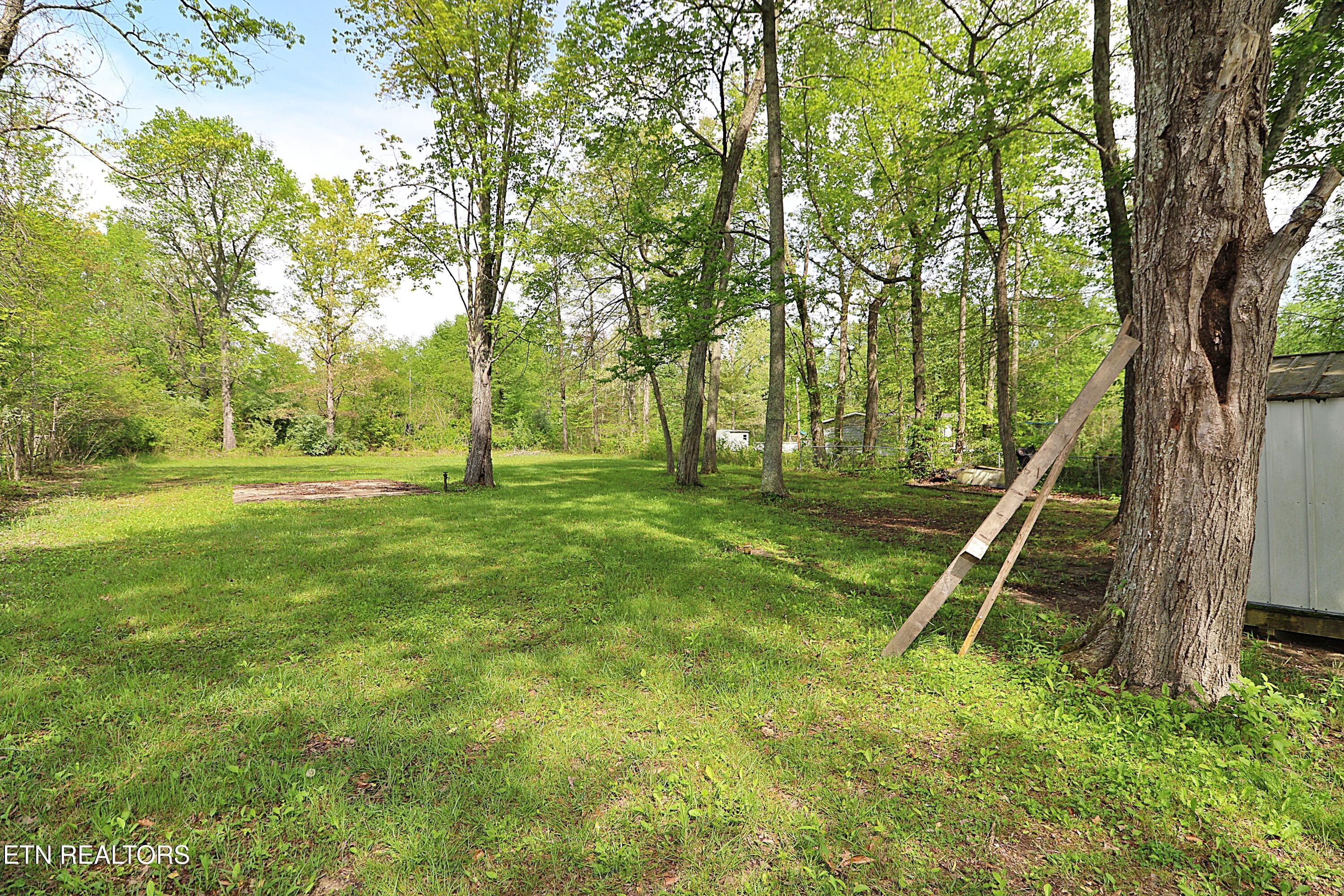 1793 Jeffers Road Huntsville, TN 37756 - Photo 43 of 48 094A0725