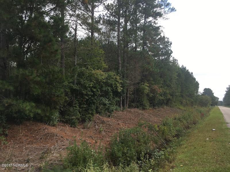 21301042 Briarcliff Road Lumberton, NC 28358 - Photo 3 of 8 IMG_2945