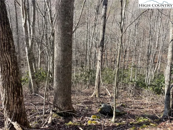 $37,500 | Overlook Lane, Todd, NC 28684