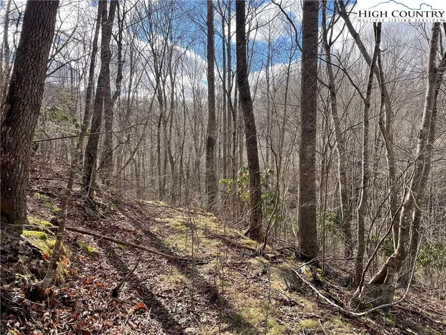 $39,000 | Overlook Lane, Todd, NC 28684