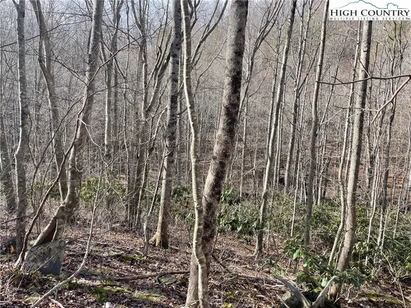$37,500 | Overlook Lane, Todd, NC 28684