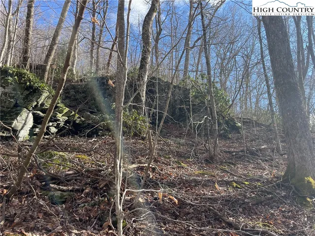 $39,000 | Overlook Lane, Todd, NC 28684