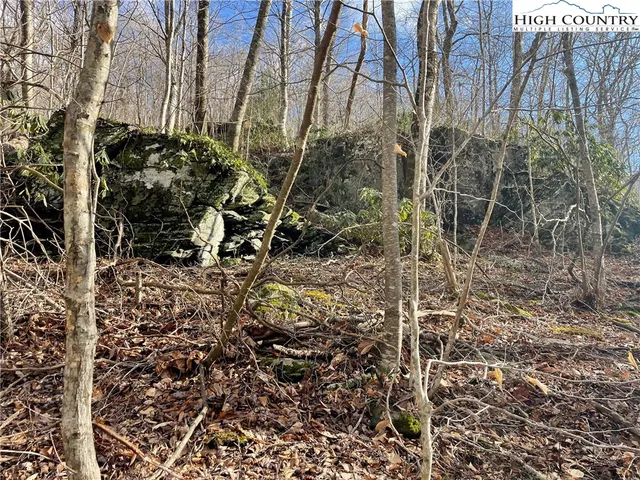 $39,000 | Overlook Lane, Todd, NC 28684