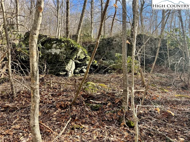 $39,000 | Overlook Lane, Todd, NC 28684