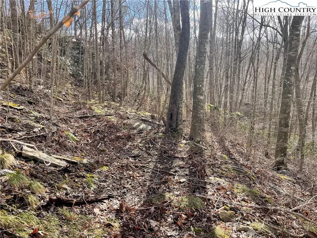 $39,000 | Overlook Lane, Todd, NC 28684