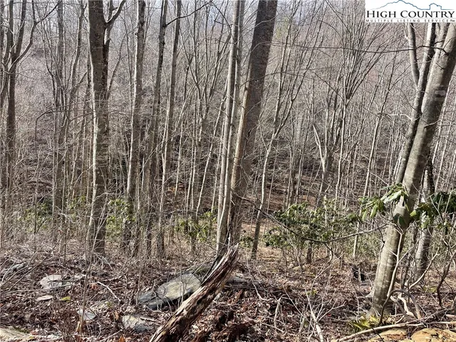 $39,000 | Overlook Lane, Todd, NC 28684