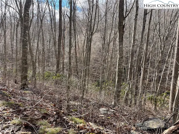 $37,500 | Overlook Lane, Todd, NC 28684