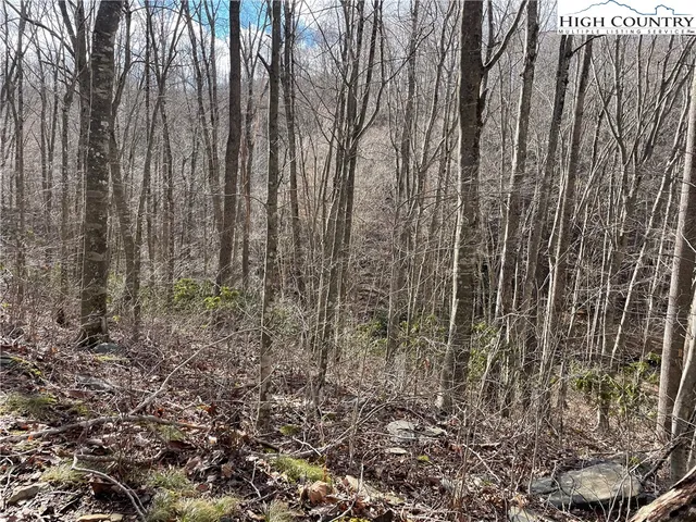 $39,000 | Overlook Lane, Todd, NC 28684