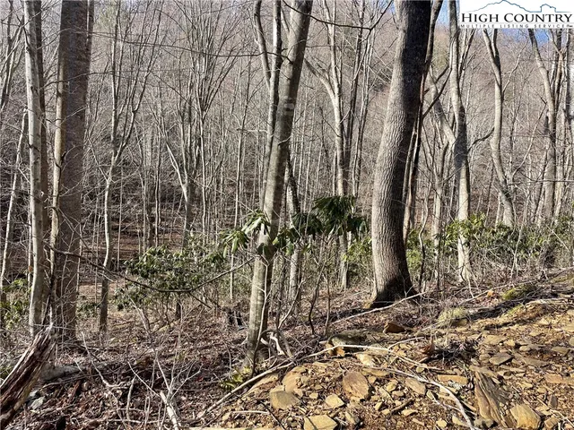 $39,000 | Overlook Lane, Todd, NC 28684