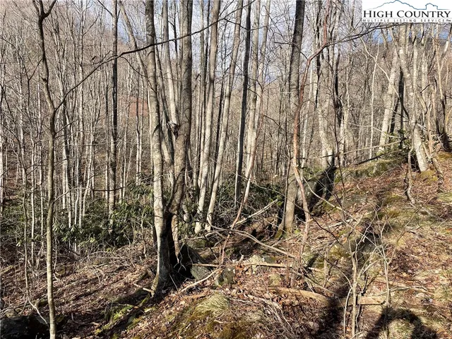 $39,000 | Overlook Lane, Todd, NC 28684